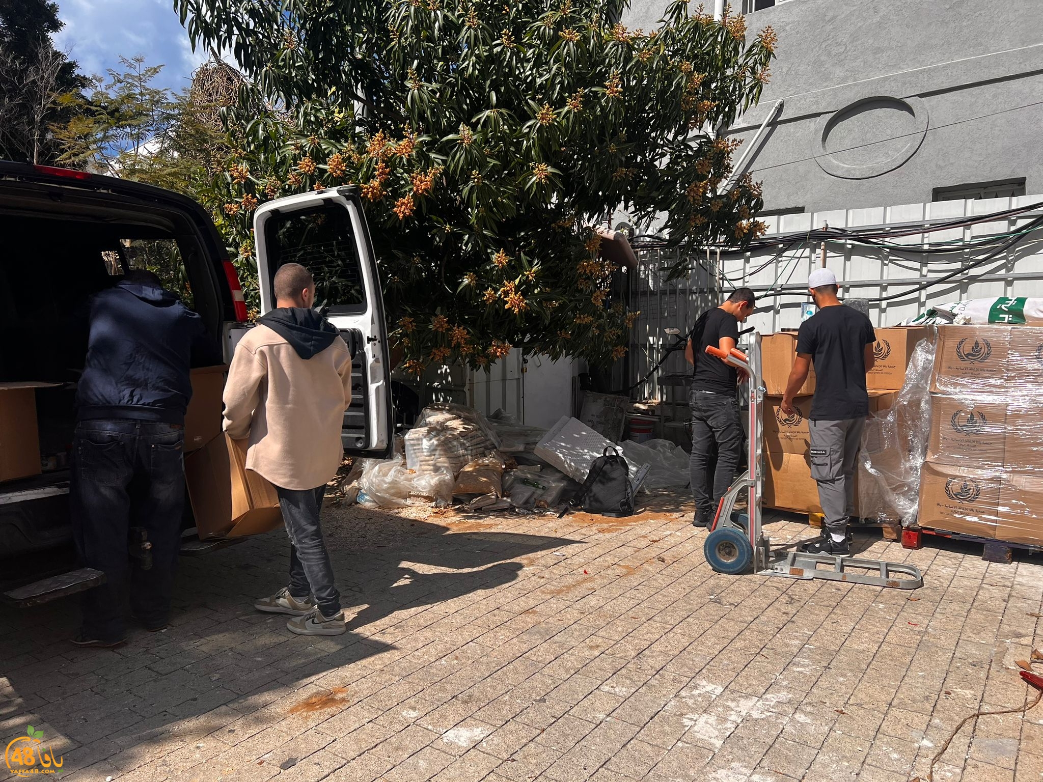 WhatsApp Image 2024-03-11 at 12.21.54 PM (2).jpeg